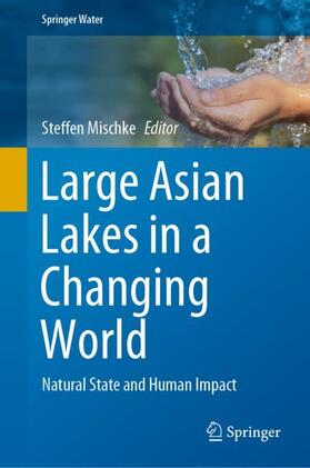 Mischke |  Large Asian Lakes in a Changing World | Buch |  Sack Fachmedien