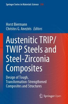 Aneziris / Biermann |  Austenitic TRIP/TWIP Steels and Steel-Zirconia Composites | Buch |  Sack Fachmedien