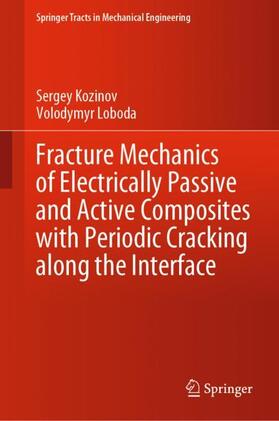 Loboda / Kozinov |  Fracture Mechanics of Electrically Passive and Active Composites with Periodic Cracking along the Interface | Buch |  Sack Fachmedien