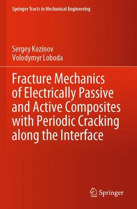 Loboda / Kozinov |  Fracture Mechanics of Electrically Passive and Active Composites with Periodic Cracking along the Interface | Buch |  Sack Fachmedien