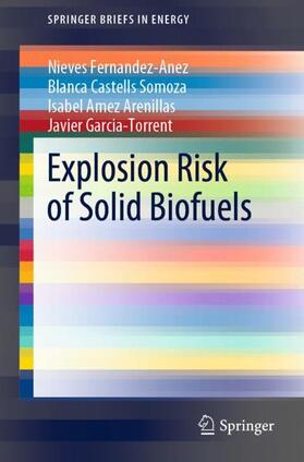 Fernandez-Anez / Garcia-Torrent / Castells Somoza |  Explosion Risk of Solid Biofuels | Buch |  Sack Fachmedien