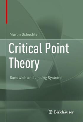 Schechter |  Critical Point Theory | Buch |  Sack Fachmedien