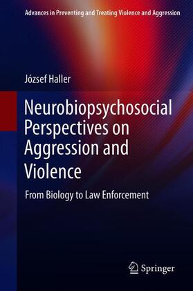 Haller |  Neurobiopsychosocial Perspectives on Aggression and Violence | Buch |  Sack Fachmedien