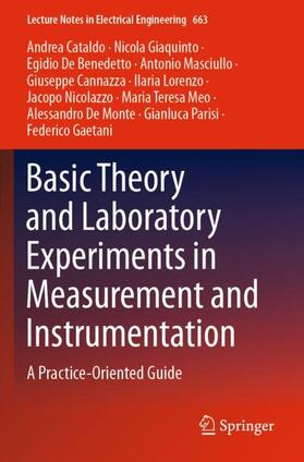 Cataldo / Parisi / Giaquinto |  Basic Theory and Laboratory Experiments in Measurement and Instrumentation | Buch |  Sack Fachmedien