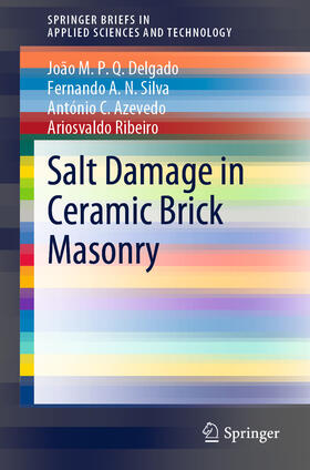 Delgado / Silva / Azevedo |  Salt Damage in Ceramic Brick Masonry | eBook | Sack Fachmedien
