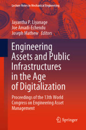 Liyanage / Amadi-Echendu / Mathew |  Engineering Assets and Public Infrastructures in the Age of Digitalization | eBook | Sack Fachmedien