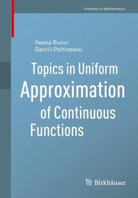 Paltineanu / Bucur |  Topics in Uniform Approximation of Continuous Functions | Buch |  Sack Fachmedien