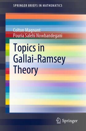 Salehi Nowbandegani / Magnant |  Topics in Gallai-Ramsey Theory | Buch |  Sack Fachmedien