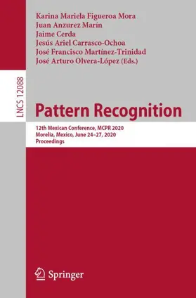 Figueroa Mora / Anzurez Marín / Olvera-López |  Pattern Recognition | Buch |  Sack Fachmedien