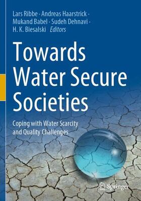 Ribbe / Haarstrick / Biesalski |  Towards Water Secure Societies | Buch |  Sack Fachmedien