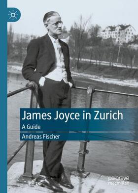 Fischer |  James Joyce in Zurich | Buch |  Sack Fachmedien