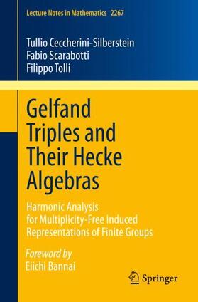 Ceccherini-Silberstein / Scarabotti / Tolli |  Gelfand Triples and Their Hecke Algebras | Buch |  Sack Fachmedien