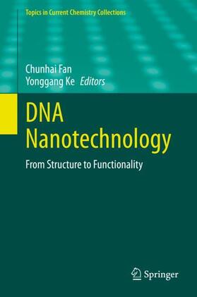 Ke / Fan |  DNA Nanotechnology | Buch |  Sack Fachmedien