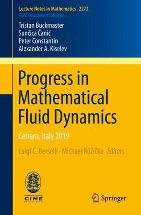 Buckmaster / Canic / Canic |  Progress in Mathematical Fluid Dynamics | Buch |  Sack Fachmedien