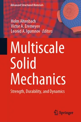 Altenbach / Eremeyev / Igumnov |  Multiscale Solid Mechanics | eBook | Sack Fachmedien