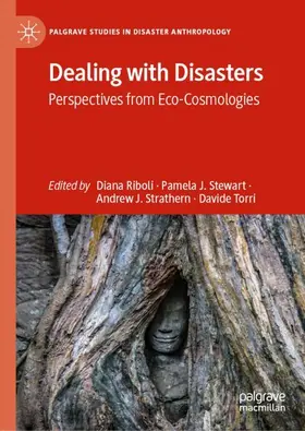 Riboli / Torri / Stewart | Dealing with Disasters | Buch | 978-3-030-56103-1 | sack.de