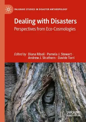 Riboli / Torri / Stewart |  Dealing with Disasters | Buch |  Sack Fachmedien