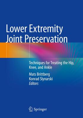 Slynarski / Brittberg |  Lower Extremity Joint Preservation | Buch |  Sack Fachmedien