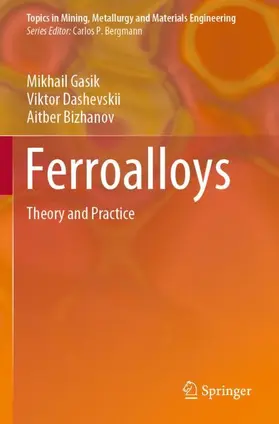 Gasik / Bizhanov / Dashevskii |  Ferroalloys | Buch |  Sack Fachmedien