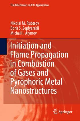 Rubtsov / Alymov / Seplyarskii |  Initiation and Flame Propagation in Combustion of Gases and Pyrophoric Metal Nanostructures | Buch |  Sack Fachmedien