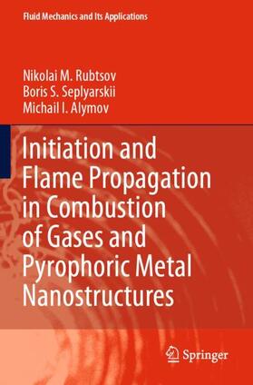 Rubtsov / Alymov / Seplyarskii |  Initiation and Flame Propagation in Combustion of Gases and Pyrophoric Metal Nanostructures | Buch |  Sack Fachmedien