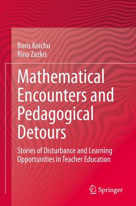 Zazkis / Koichu |  Mathematical Encounters and Pedagogical Detours | Buch |  Sack Fachmedien