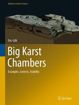 Gilli |  Big Karst Chambers | Buch |  Sack Fachmedien