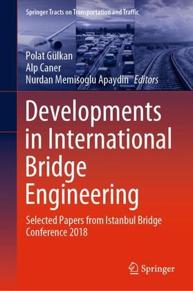 Gülkan / Memisoglu Apaydin / Caner |  Developments in International Bridge Engineering | Buch |  Sack Fachmedien