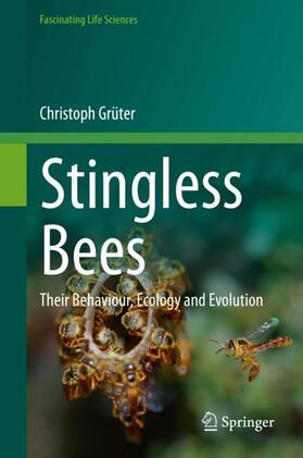 Grüter |  Stingless Bees | Buch |  Sack Fachmedien