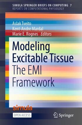 Tveito / Rognes / Mardal |  Modeling Excitable Tissue | Buch |  Sack Fachmedien
