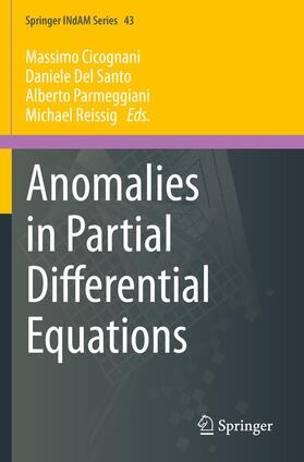 Cicognani / Reissig / Del Santo |  Anomalies in Partial Differential Equations | Buch |  Sack Fachmedien