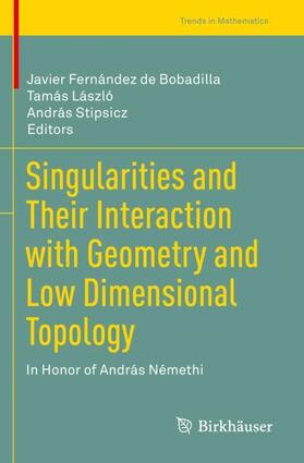 Fernández de Bobadilla / Stipsicz / László |  Singularities and Their Interaction with Geometry and Low Dimensional Topology | Buch |  Sack Fachmedien