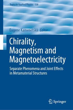 Kamenetskii |  Chirality, Magnetism and Magnetoelectricity | Buch |  Sack Fachmedien