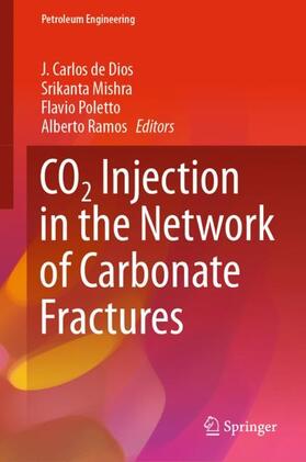 de Dios / Ramos / Mishra |  CO2 Injection in the Network of Carbonate Fractures | Buch |  Sack Fachmedien