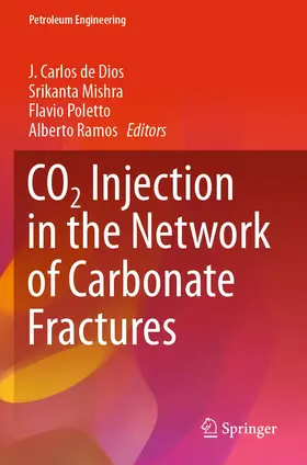 de Dios / Ramos / Mishra |  CO2 Injection in the Network of Carbonate Fractures | Buch |  Sack Fachmedien