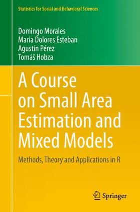 Morales / Hobza / Esteban |  A Course on Small Area Estimation and Mixed Models | Buch |  Sack Fachmedien