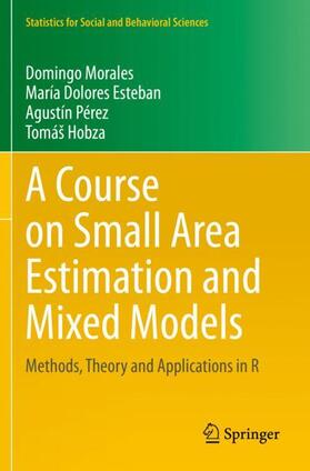 Morales / Hobza / Esteban |  A Course on Small Area Estimation and Mixed Models | Buch |  Sack Fachmedien