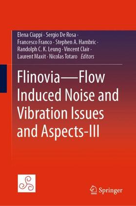 Ciappi / De Rosa / Franco |  Flinovia¿Flow Induced Noise and Vibration Issues and Aspects-III | Buch |  Sack Fachmedien