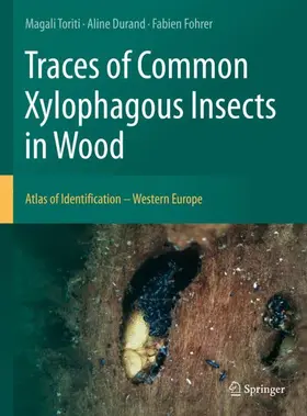 Toriti / Fohrer / Durand |  Traces of Common Xylophagous Insects in Wood | Buch |  Sack Fachmedien