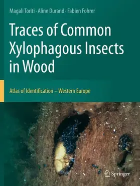 Toriti / Fohrer / Durand |  Traces of Common Xylophagous Insects in Wood | Buch |  Sack Fachmedien