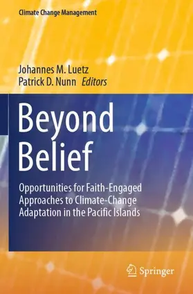 Nunn / Luetz |  Beyond Belief | Buch |  Sack Fachmedien