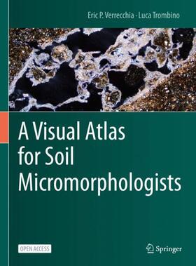 Trombino / Verrecchia |  A Visual Atlas for Soil Micromorphologists | Buch |  Sack Fachmedien