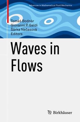 Bodnár / Necasová / Galdi |  Waves in Flows | Buch |  Sack Fachmedien