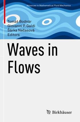 Bodnár / Necasová / Galdi |  Waves in Flows | Buch |  Sack Fachmedien