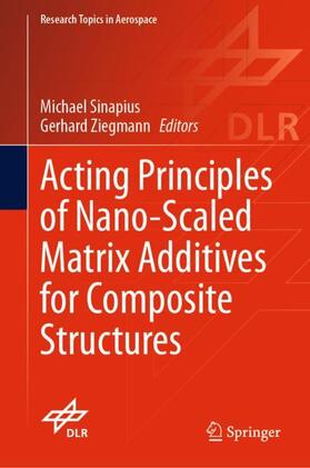 Ziegmann / Sinapius |  Acting Principles of Nano-Scaled Matrix Additives for Composite Structures | Buch |  Sack Fachmedien