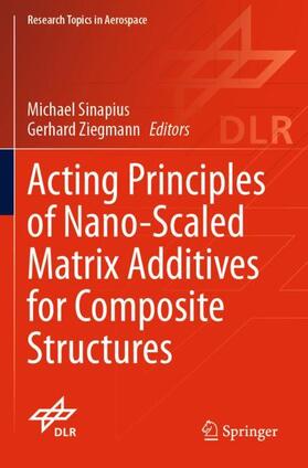 Ziegmann / Sinapius |  Acting Principles of Nano-Scaled Matrix Additives for Composite Structures | Buch |  Sack Fachmedien
