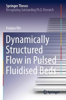 Wu |  Dynamically Structured Flow in Pulsed Fluidised Beds | Buch |  Sack Fachmedien