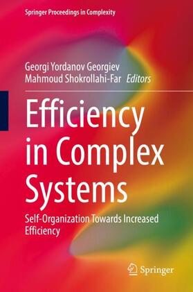 Shokrollahi-Far / Georgiev |  Efficiency in Complex Systems | Buch |  Sack Fachmedien