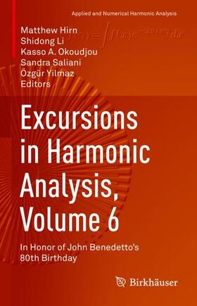 Hirn / Li / Yilmaz |  Excursions in Harmonic Analysis, Volume 6 | Buch |  Sack Fachmedien