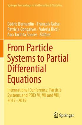 Bernardin / Golse / Soares |  From Particle Systems to Partial Differential Equations | Buch |  Sack Fachmedien